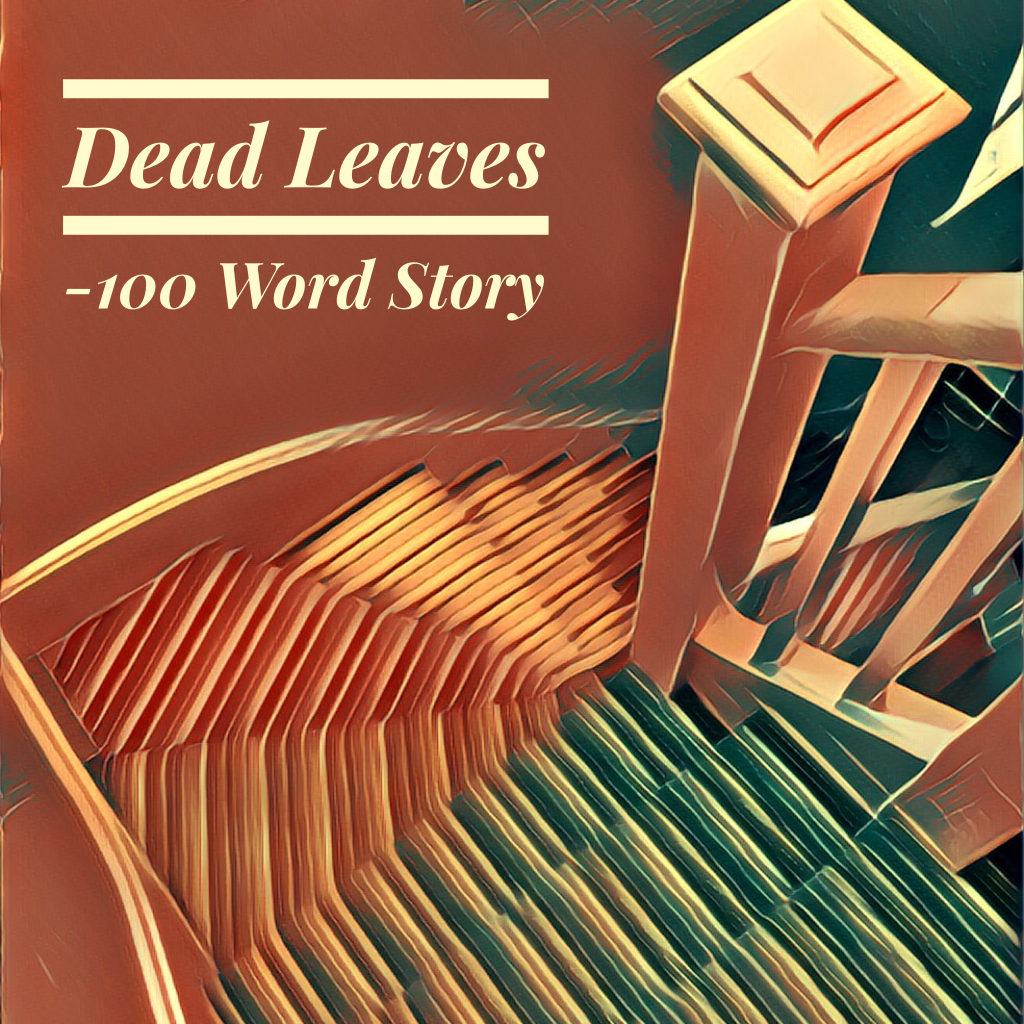 Dead Leaves